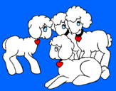 Disegno Pecore pitturato su giulia
