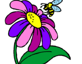 Disegno Margherita con ape  pitturato su alewflor
