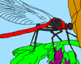 Disegno Libellula  pitturato su libellula di Davy
