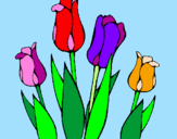 Disegno Tulipani  pitturato su alice