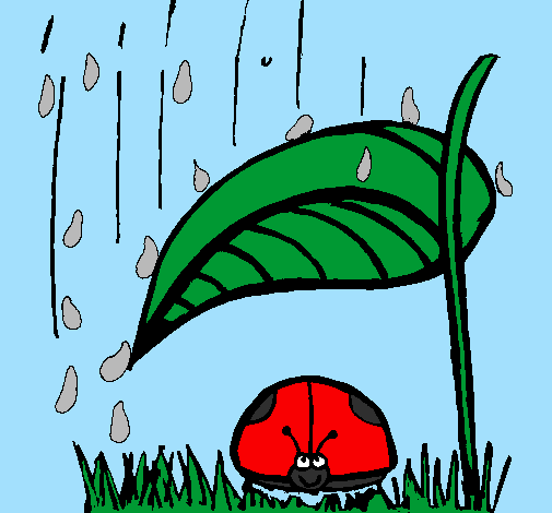 Coccinella protetta dalla pioggia 