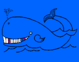 Disegno Balena  pitturato su jacopo