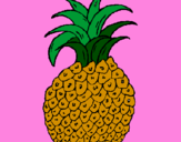 Disegno ananas  pitturato su giovy