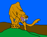 Disegno Tigre con affilati canini  pitturato su nicolò