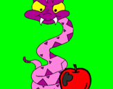 Disegno Serpente con la mela  pitturato su ANDREA-F