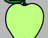 Disegno mela  pitturato su margarita