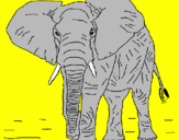 Disegno Elefante  pitturato su Raffaele