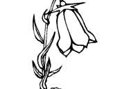 Disegno Fiore selvatico pitturato su campanella
