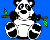 Disegno Orso panda  pitturato su fabiano06