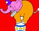 Disegno Elefante sulla palla  pitturato su Corinne