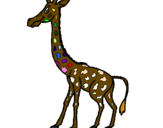 Disegno Giraffa  pitturato su giuseppe