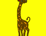 Disegno Giraffa  pitturato su daniele
