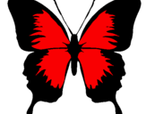 Disegno Farfalla con le ali nere pitturato su manu jojo
