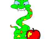 Disegno Serpente con la mela  pitturato su achille