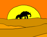 Disegno Elefante all'alba  pitturato su chiara
