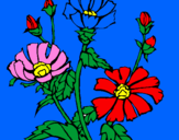 Disegno Composizione floreale  pitturato su cartman