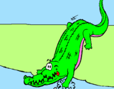 Disegno Alligatore che entra nell'acqua  pitturato su un mare di colore