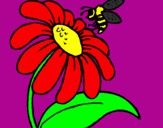 Disegno Margherita con ape  pitturato su ambra