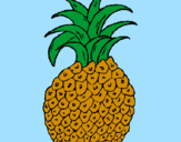 Disegno ananas  pitturato su giulia