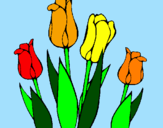 Disegno Tulipani  pitturato su tulipani