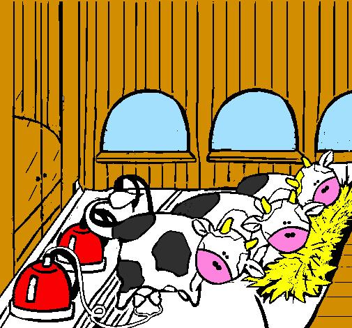 Mucche nella stalla 