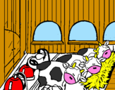 Disegno Mucche nella stalla  pitturato su federico