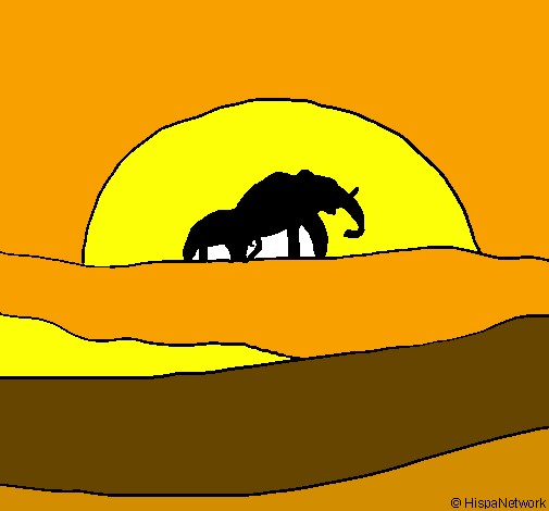 Elefante all'alba 