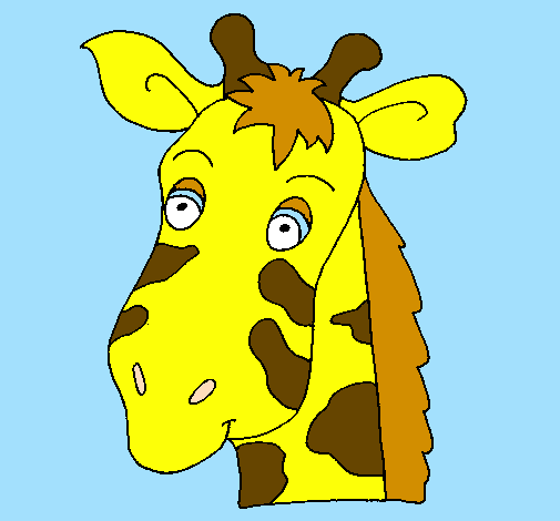 Muso di giraffa