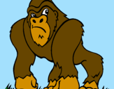 Disegno Gorilla pitturato su kirby