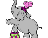 Disegno Elefante  pitturato su alexia