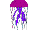 Disegno Medusa  pitturato su xxx