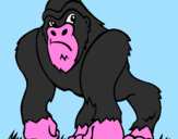 Disegno Gorilla pitturato su matteo