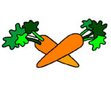 Disegno carote  pitturato su elena