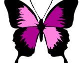 Disegno Farfalla con le ali nere pitturato su ileana