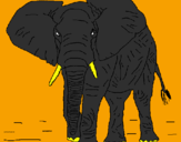 Disegno Elefante  pitturato su gabriele