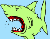 Disegno Squalo pitturato su squalo