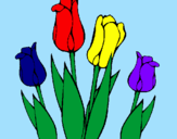 Disegno Tulipani  pitturato su ILEANA