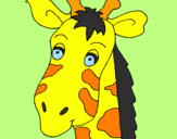Disegno Muso di giraffa pitturato su matteo