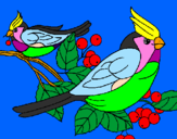 Disegno Uccelli pitturato su noemi