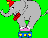 Disegno Elefante sulla palla  pitturato su giulia s.