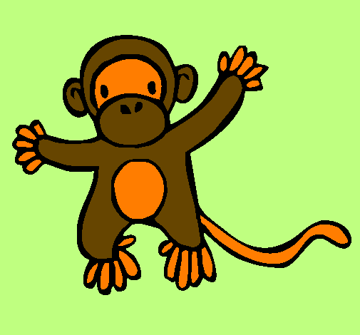Scimmietta