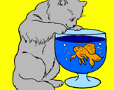 Disegno Gatto che osserva il pesciolino  pitturato su Anastasia ometto