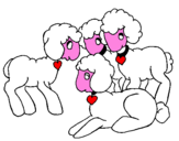 Disegno Pecore pitturato su PIPA 10
