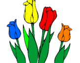 Disegno Tulipani  pitturato su nicoletta mery