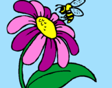 Disegno Margherita con ape  pitturato su rebecca
