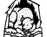 Disegno Orso in ibernazione pitturato su ì