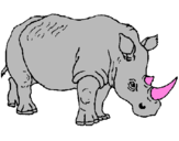 Disegno Rinoceronte  pitturato su franci