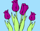 Disegno Tulipani  pitturato su i tulipani viola