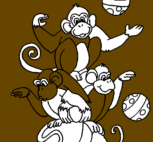 Scimmie giocoliere