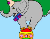 Disegno Elefante sulla palla  pitturato su Davide